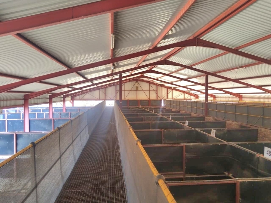 4 Bedroom Property for Sale in Kimberley Rural Northern Cape